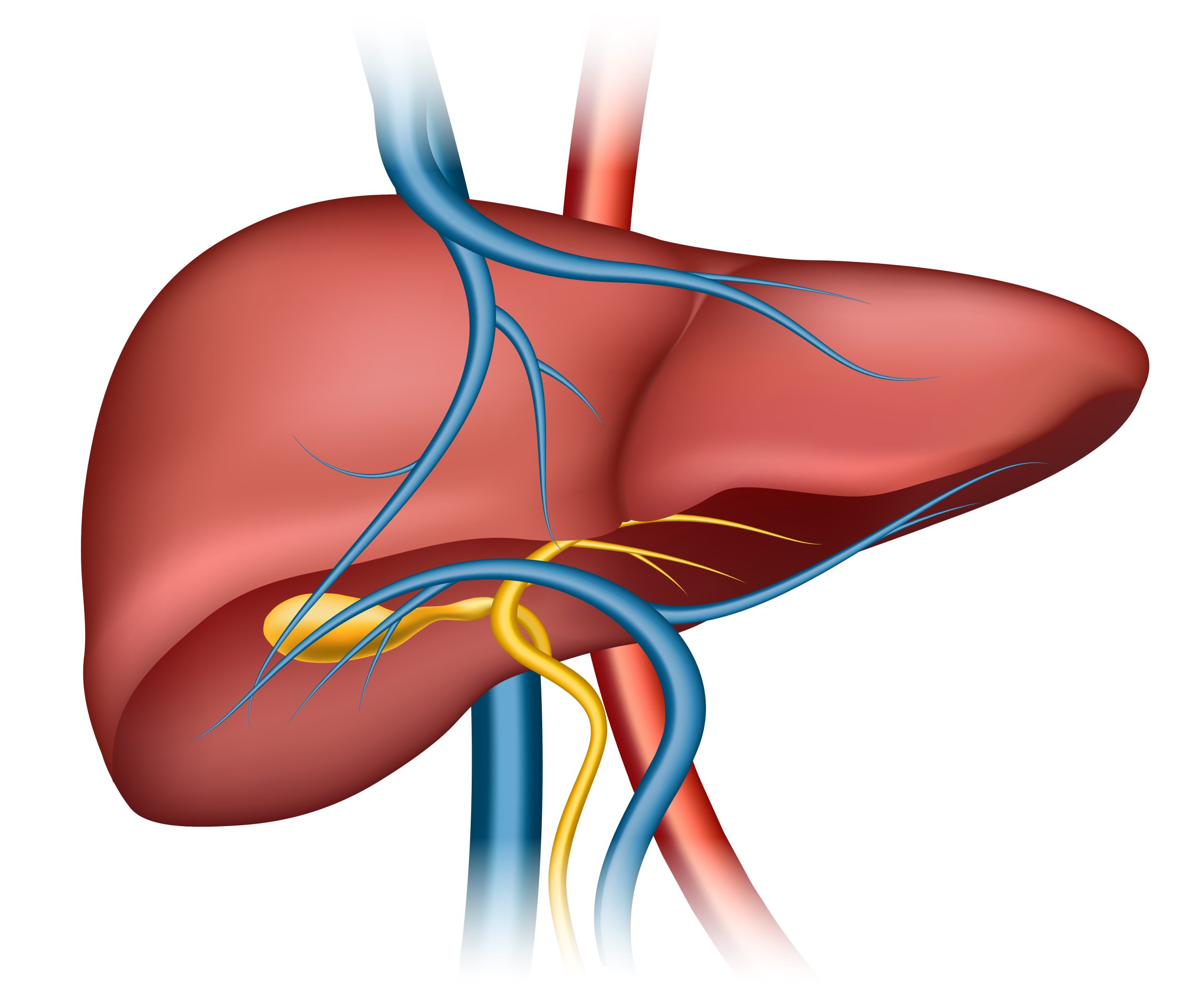 Hepatitas