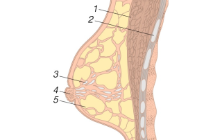 Mastopatija
